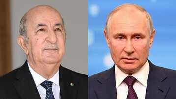 بوتين ونظيره الجزائري يتفقان على تعزيز 