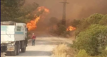 حرائق تلتهم الغابات في محافظة اللاذقية.. بعد أيام على حريق ساروجة المأساوي