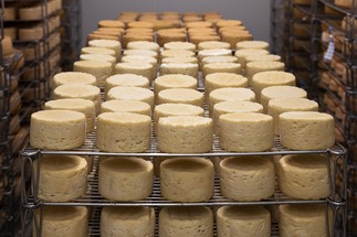 الجبن والمواد الأفيونية.. علاقة خطيرة تكشفها الدراسات