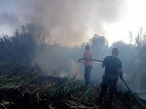 اندلاع حريق في غابة حراجية بريف طرطوس السورية