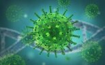 اكتشاف جزيء جديد قد يحمي من الإنفلونزا دون الحاجة للقاحات