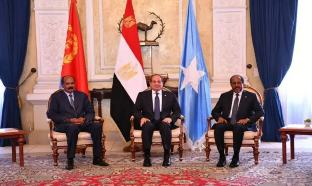 Tripartite Summit Brings Together Egypt, Eritrea, and Somalia to Face Regional Challenges