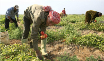  تحليل واقع الزراعة والمجتمع الزراعي في كوردستان سوريا